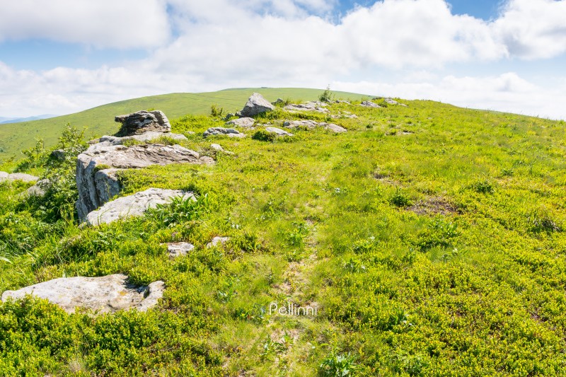 wonderful carpathian mountain landscape in summer. outdoor adventure. rocks and stones on the grassy hillside meadow. beautiful scenery with clouds on the blue sky in forenoon light. scenic view