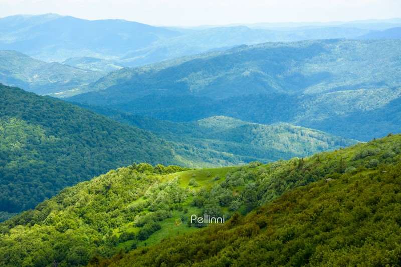 wonderful mountain landscape for travel with green hill in summer. nature scenery with scenic view in to the distant valley of carpathians in dappled light. hiking through transcarpathia highland