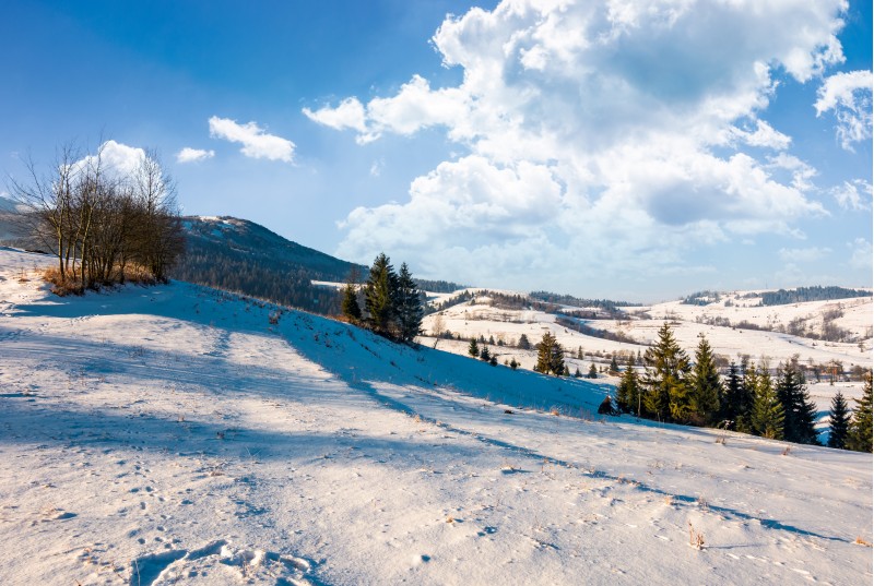 wonderful winter landscape in mountains. lovely rural scenery with snowy slopes on a bright sunny day