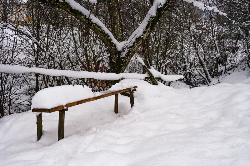 wooden bench in snowy outdoors. lovely winter scenery in park