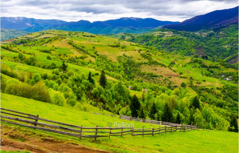 wooden fence along the grassy hillside. beautiful springtime landscape of Carpathian mountains on a cloudy day. 