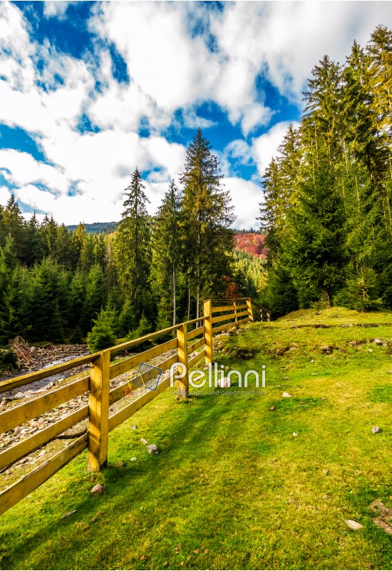 wooden fence in forest camping place. beautiful weather in autumn mountains