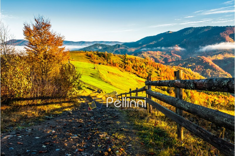 fence; landscape; rural; mountain; autumn; village; nature; grass; meadow; field; sky; tree; natural; wood; country; hill; beautiful; fall; outdoor; forest; wooden; blue; vivid; beauty; fresh; border; countryside; peaceful; season; scenic; environment; weather