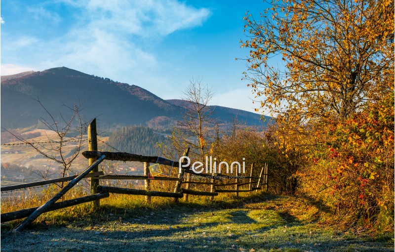 wooden fence near forest in mountains. lovely autumnal countryside nature background in the morning