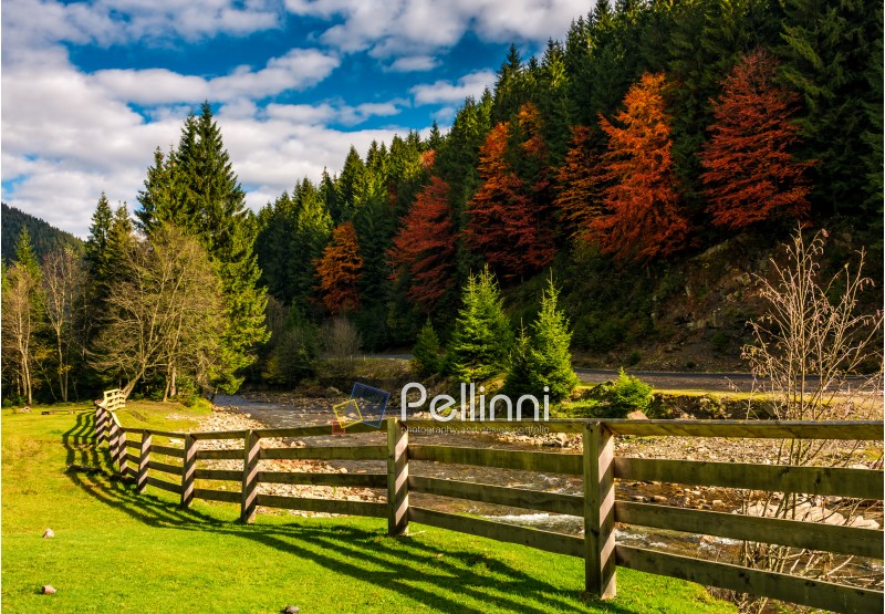 wooden fence near forest river in autumn mountains. few red foliage trees among spruce forest on hill