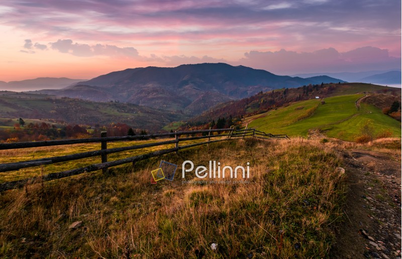 wooden fence on a grassy rural hillside at autumn dawn. gorgeous landscape in forested mountains with red foliage