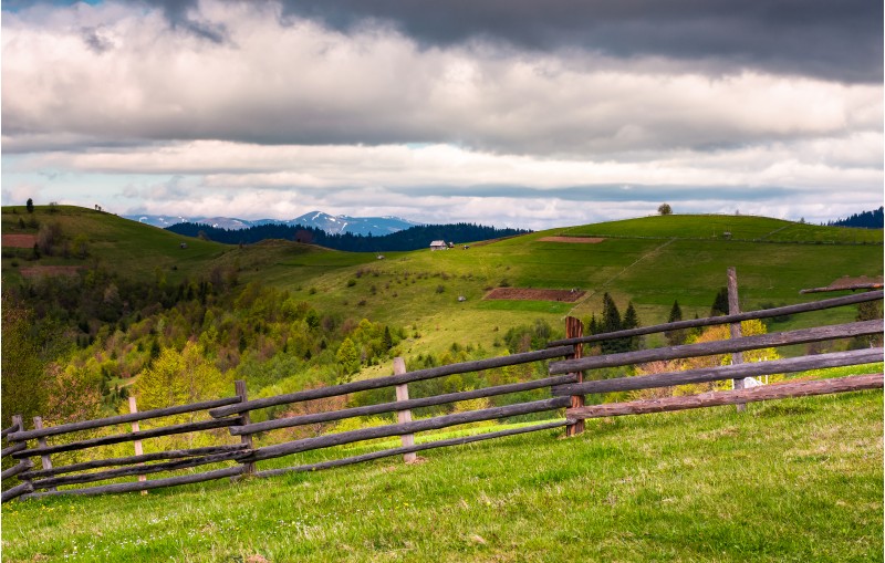 wooden fence on a grassy slope of Carpathian alps. beautiful view of rural fields on hills. mountain ridge with snowy tops in the distance. lovely countryside landscape in springtime