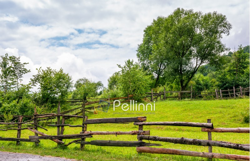 wooden fence on grassy rural field with tree. lovely springtime scenery 