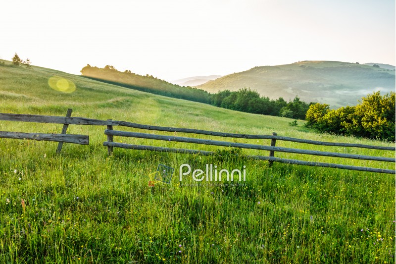 wooden fence on agricultural grassy meadow with trees on hillside in Carpathian mountains at sunrise