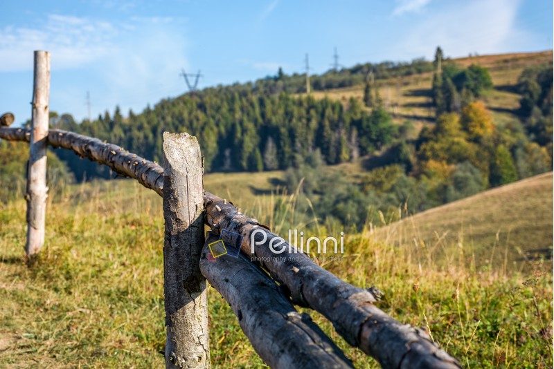 wooden fence wrapped by a wire on hillside near forest. beautiful countryside autumnal morning