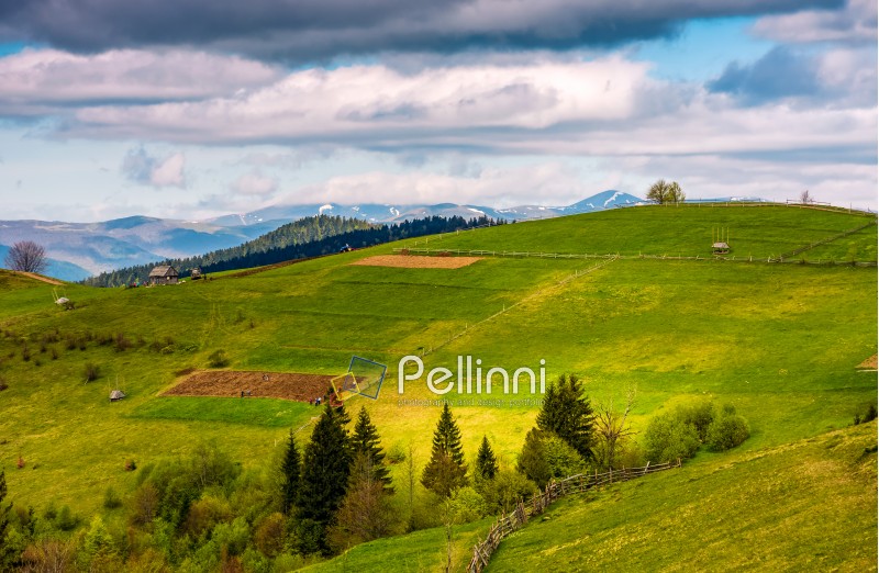 wooden fence on hillside in the rural area in mountains. beautiful Carpathian countryside landscape.