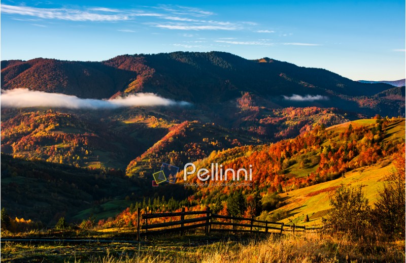 wooden fence through rural fields on hills in fog. gorgeous mountainous countryside landscape in autumn