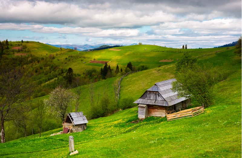 woodshed on a grassy hillside on a cloudy day. village outskirts with rural fields in mountainous area on a cloudy springtime day