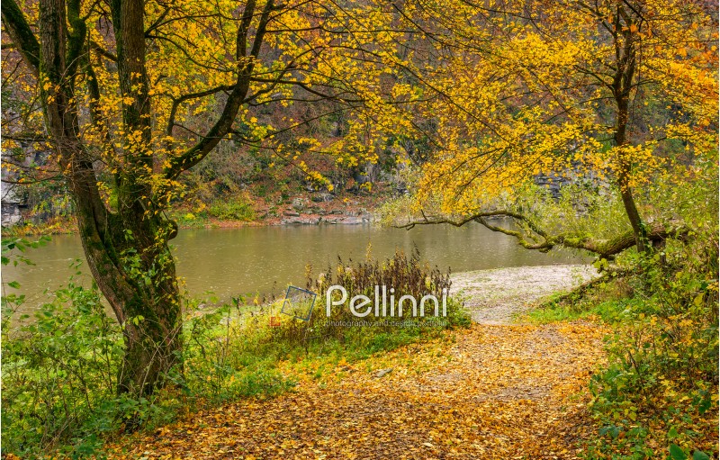 lovely autumnal scenery with yellow trees on rocky shore. river flows at the foot of a hill with rocky cliff