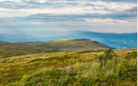 Carpathian alpine meadows in august. lovely summer landscape on a cloudy day. yellow weathered grass