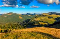 landscape; mountain; valley; forest; autumn; Apuseni; Carpathian; conifer; Romania; nature; hill; hillside; slope; meadow; evening; golden hour; sky; cloud; tree; view; national; background; grass; beautiful; top; weather; travel; dramatic; tourism; europe; hiking; scene; wild; wood; outdoor; park; fir; fresh; colorful; warm; majestic; good; calm; range; fall; ridge; high