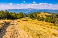 Empty countryside road among the trees on mountain ridge. Serene autumn sunset. Blue sky with some clounds