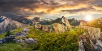 Composite panorama of dandelions among the rocks in High Tatra mountain ridge in the distance. Beautiful landscape on summer sunset with cloudy sky