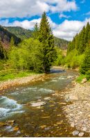 stream; forest; mountain; flow; nature; river; landscape; scenery; springtime; water; valley; background; rocky; beautiful; green; stone; wild; wet; travel; outdoor; tree; creek; scene; summer; park; torrent; beauty; fence; spring; sky; cloud; weather; good; fresh; environment; wood; grass; splash; wave; ecology; flowing; freshness; shore; peaceful; vivid; gorgeous; spectacular; season; clear
