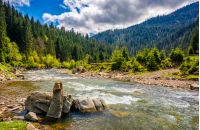 River with rocky shore flows among  green forest at the foot of the mountain. Picturesque nature of rural area in Carpathians. Serene springtime day under blue sky with some clouds
