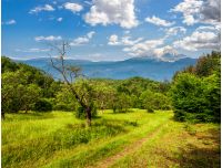spring; winter; concept; mountain; valley; tree; meadow; composite; climat; ecology; forest; warm; cold; green; hill; peacefull; grass; calm; season; change; magic; meet; spectacular; change; time; weather; snow; vs; rural; landscape; dramatic; countryside; field; nature; environment; abstract