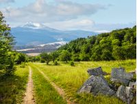 Winter meets spring composite landscape. Valley with trees and boulders on a grass. Road through meadow goes to forest in mountains with snowy peak under cloudy sky