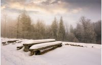 abandoned camping place in winter forest. amazing weather with hoarfrost at sunrise
