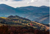 agricultural fields on hills. yellow and red foliage on trees in autumn time. beautiful rural landscape at sunset