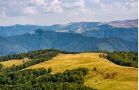 alpine grassy meadow in autumnal Carpathians. lovely landscape of TransCarpathia with beech forest on hills and gorgeous Svydovets mountain ridge in a distance