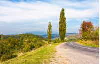 asphalt country road through hills with trees. lovely autumn weather in mountains