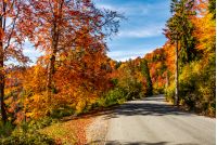 asphalt road through autumn forest in mountains. beautiful and colorful scenery on sunny day under the blue sky with some clouds