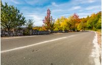 asphalt road through autumn forest in mountains. beautiful and colorful scenery on sunny day under the blue sky with some clouds
