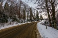 asphalt road through winter forest. lovely transportation scenery