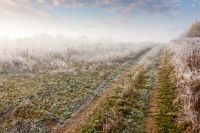 autumn landscape with dirt road through rural field in hoarfrost and morning fog. beautiful view of a countryside in carpathian mountains of ukraine. frosty weather. abandoned area needs investment