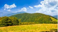 early autumn mountain landscape. green meadow near the forest on the hillside in Carpathians