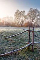 autumnal rural landscape in fog. countryside scenery with wooden fence in morning light. farm field by the road in hoarfrost