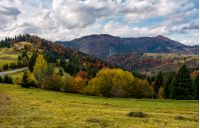 autumnal scenery in Carpathian mountains. beautiful countryside with colorful foliage forest on a cloudy day