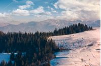 beautiful countryside with conifer forest. lovely landscape in mountains on a bright winter day