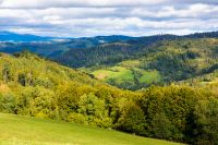 beautiful early autumn forenoon in mountains. trees on the rolling hills. wonderful countryside of ukraine in dappled light