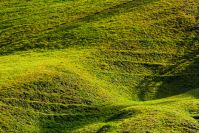beautiful grassy hillside in sunlight. lovely agricultural background