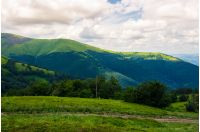 beautiful green hills of Borzhava mountain ridge. lovely landscape on a cloudy day. foot path across the meadow