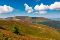 beautiful hilly landscape of Carpathian mountains. lovely scenery in late summer. blue sky with some fluffy clouds
