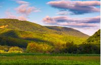 beautiful mountainous countryside at sunrise. lovely summer landscape with pink clouds