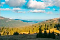 beautiful mountainous landscape. spruce forest on hill sides. wonderful weather with fluffy clouds on the blue sky. creative toning
