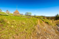 beautiful rural landscape of carpathian mountains in spring. road near the wooden fence through the grassy pasture with haystack and coniferous trees on hillside in morning light