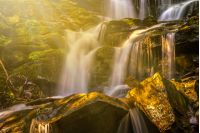 incredibly beautiful and clean little waterfall with several cascades over large stones in the forest comes out of a huge rock covered with moss in rays of morning sun