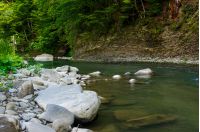 boulders on the shore of the river. lovely nature scenery in forest