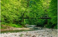 wooden bridge over the winding forest river. rocky shoreline among green trees. wonderful summer nature.