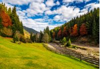 camping place meadow near forest in mountains. scene with wooden fence near calm river and few red foliage trees among spruce forest on hillside