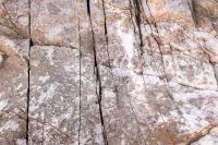 closeup of coast rock texture. rough stone background from the black sea in summer. detail of bulgaria rugged shore. backdrop for material design